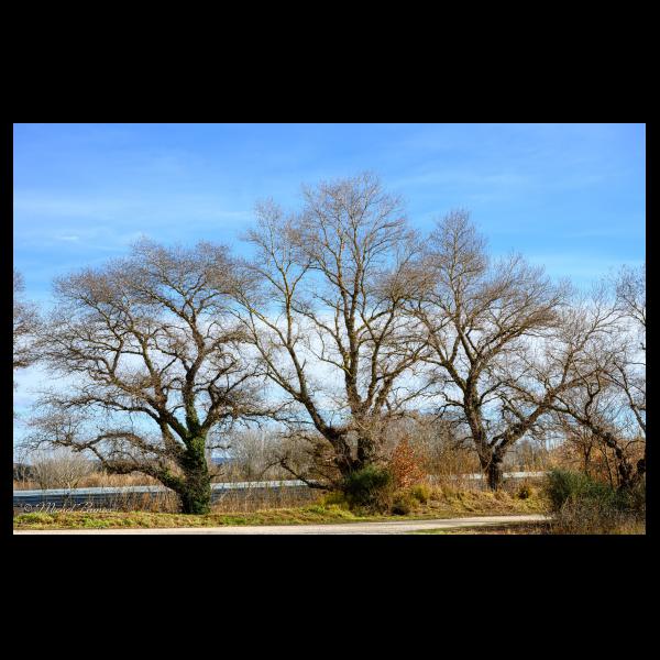 PHOTO84, CLUB, 84 , LUBERON